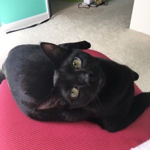 Meet your Posher, Mya